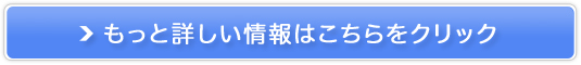 NێEepI[KjbNyfC[R[q[z̔TCg
